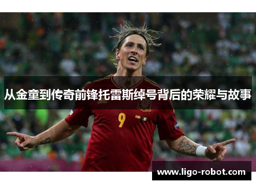 从金童到传奇前锋托雷斯绰号背后的荣耀与故事