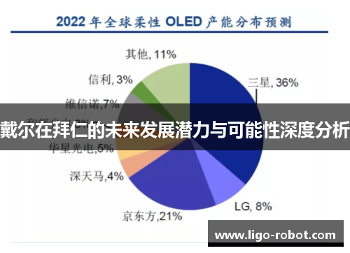 戴尔在拜仁的未来发展潜力与可能性深度分析